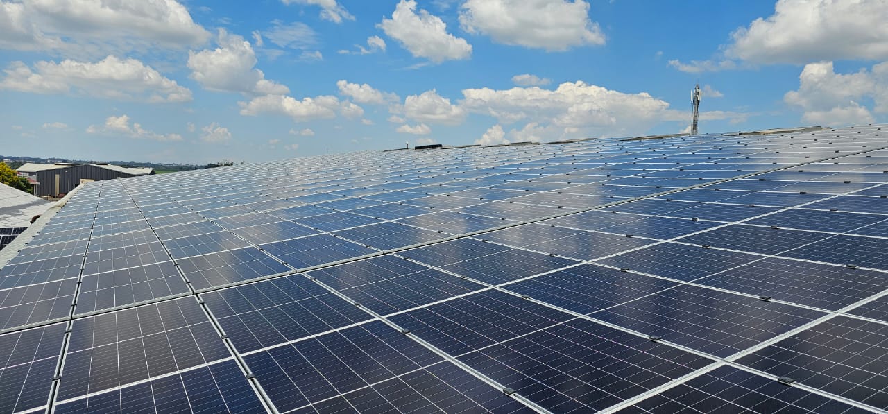 Bensch Solar Project 6